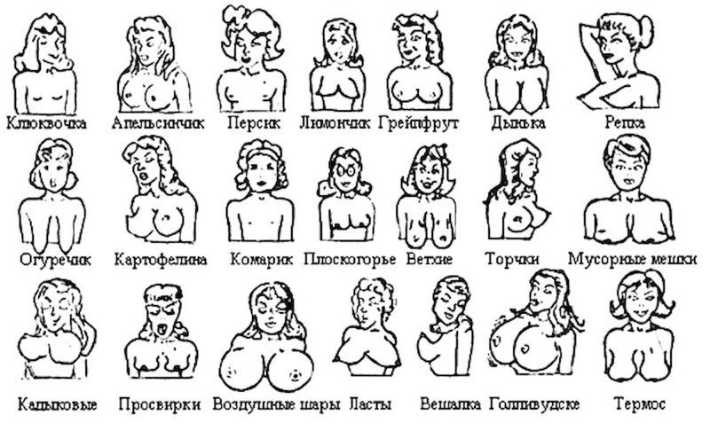 Разновидности женских грудей, Тип сисек, Грудь форма