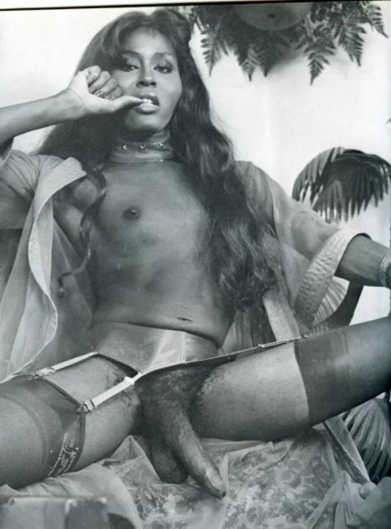 Patricia bacelar