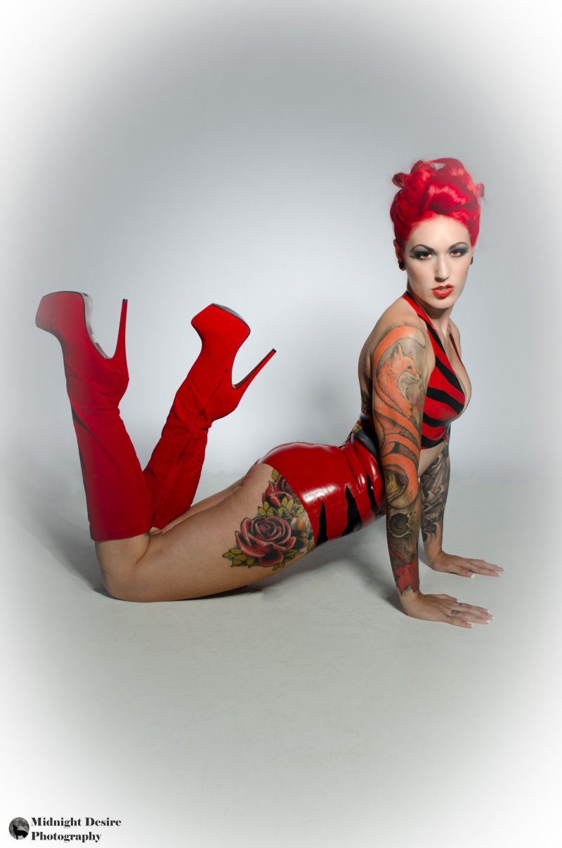 Cervena fox