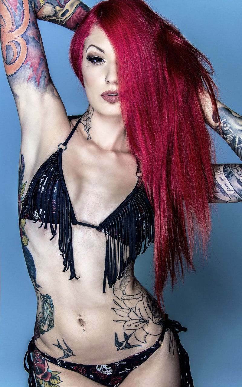 Cervena fox