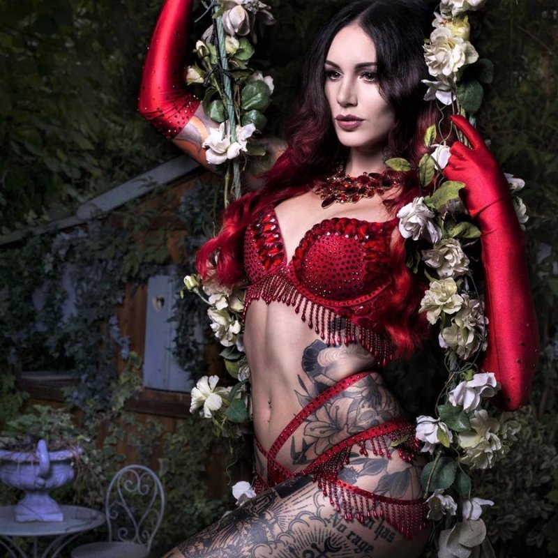 Cervena fox