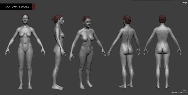 Голое женское тело анатомия, Женское тело референс для 3d, Модель женского тела