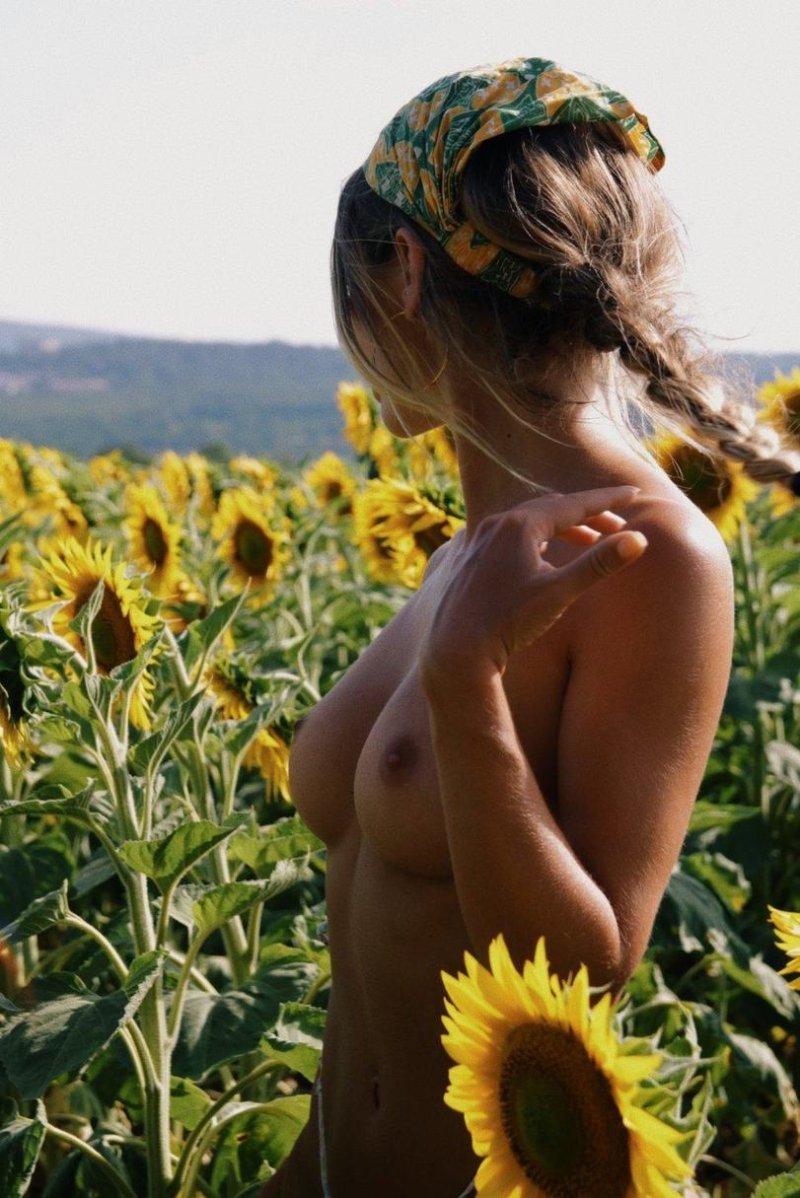 Эротическая фотосессия в подсолнухах, Голые женщины среди подсолнухов, Девушка в подсолнухах