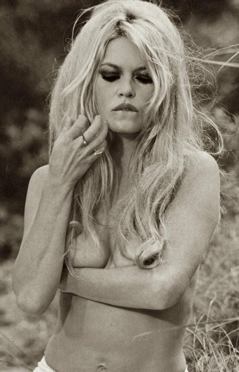 Бриджит бардо, Bridget bardot, Брижит бардо