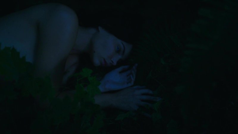 Mysterious mermaid