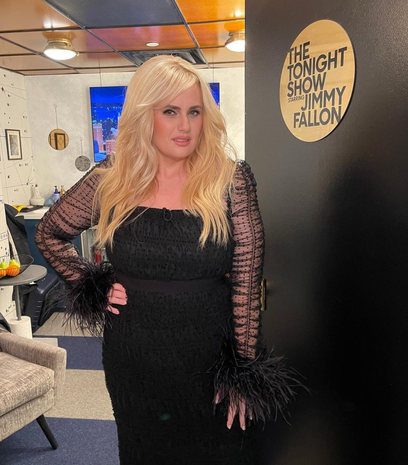 Ребел уилсон, Актриса ребел уилсон, Rebel wilson