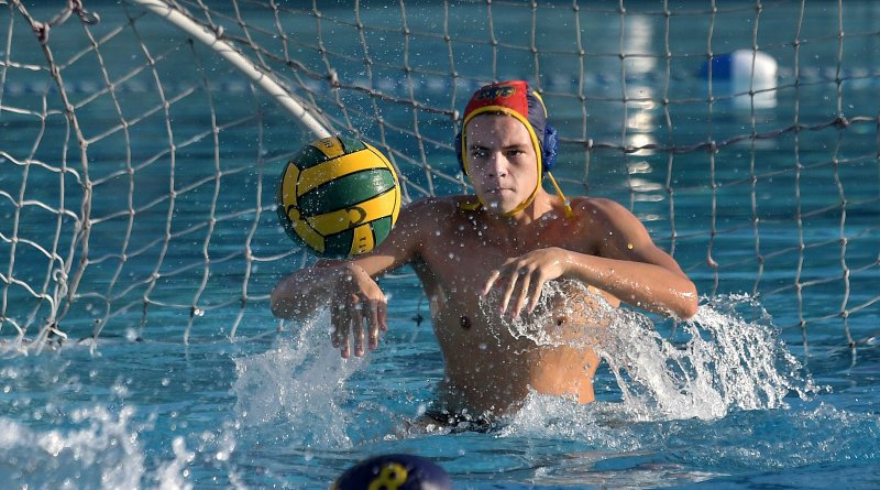 Сергей гарбузов водное поло, Водное поло, Water polo