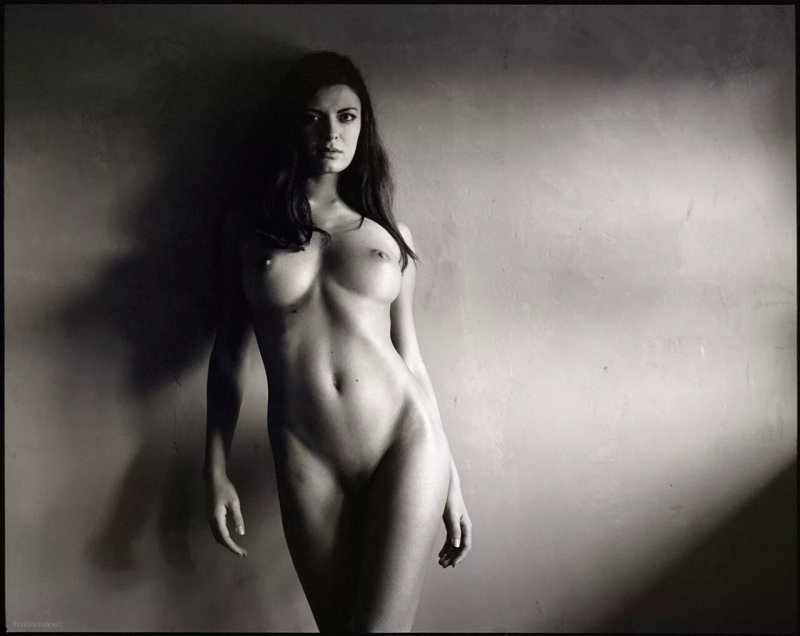 Модели в стиле ню, Стильная фотосессия ню, Обнаженная модель