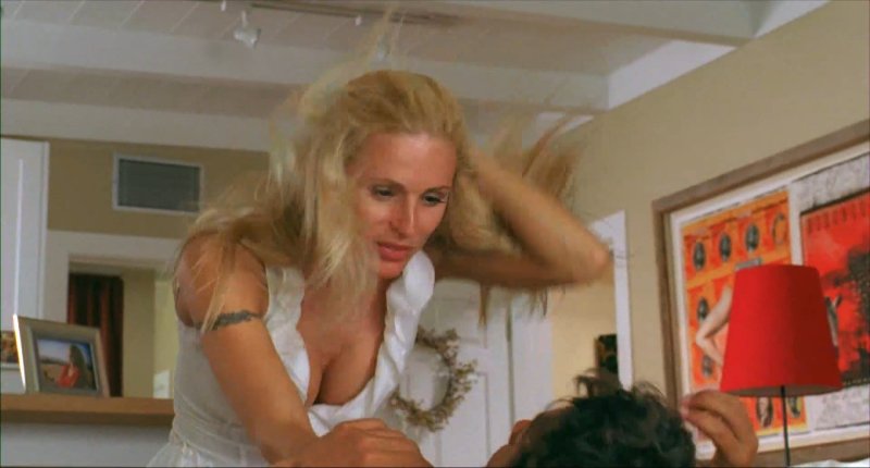 Николетт шеридан чистильщик, Michelle hunziker nude, Очень страшное кино 3 памела андерсон